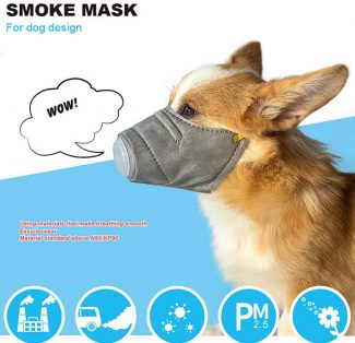 mascara respiratoria perros